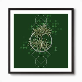 Vintage Bitter Willow Botanical with Geometric Line Motif and Dot Pattern n.0042 Art Print