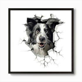 Border Collie 3 Art Print