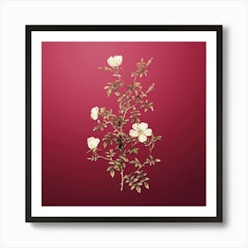 Gold Botanical Hedge Rose on Viva Magenta n.2053 Art Print