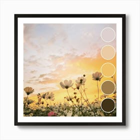 Sunset In A Field Of Flowers Art Print