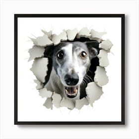 Greyhound Art Print