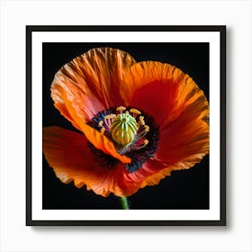 Ethereal poppy flower 10 Art Print