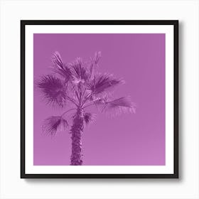 Amethyst Palm Tree Art Print