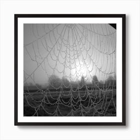 Spider Web In The Mist Art Print