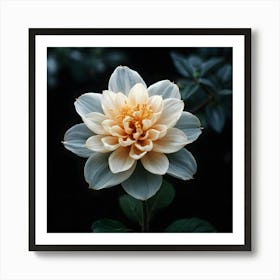 Dahlia 4 Art Print