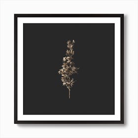 Gold Botanicals On Black Square Art Print