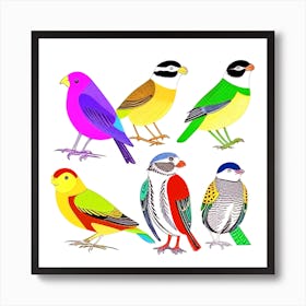 Colorful Birds 1 Art Print