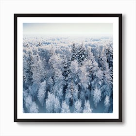 Aerial View Of Snow Covered Forest 3 Art Print