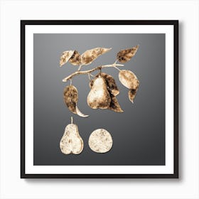 Gold Botanical Pear on Soft Gray n.0626 Art Print