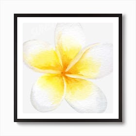 White flowers Art Print