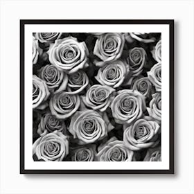 Black And White Roses 27 Art Print