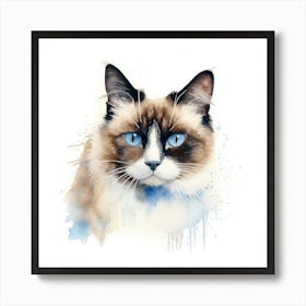 Snowshoe Cat Portrait Art Print