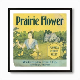 Prairie Flower Citrus Label (1930 1950) Art Print