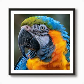 Colorful Parrot 18 Art Print