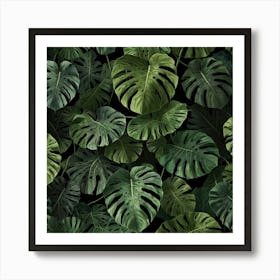 Monstera Leaves On A Black Background Art Print