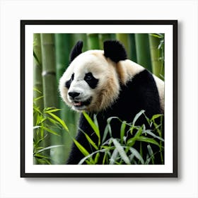 Panda Bear In Bamboo Forest Art Print