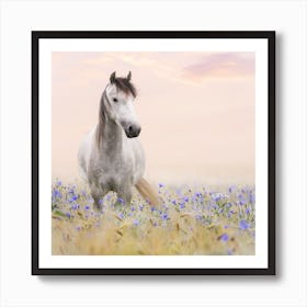 Horse In A Field Of Flowers Art Print