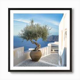 Olive Tree In The Morning (II) Art Print