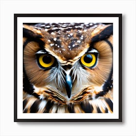 Owl Face Art Print