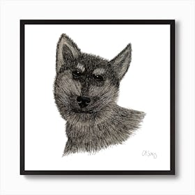 Black And White Husky. 1 Art Print