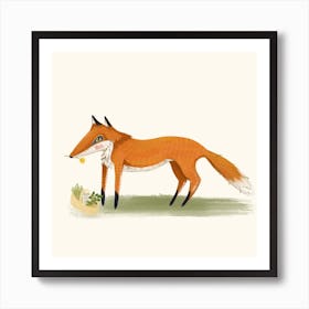 Foxy Forage Square Art Print