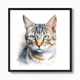 European Shorthair Cat Portrait 3 Art Print