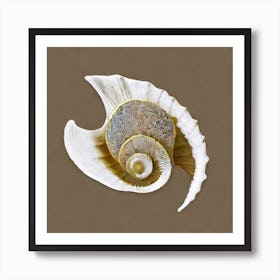 Psychedelic Sea Shell Art Print