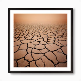 Parched Earth Art Print