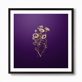 Gold Botanical Hoary Diplopappus Flower on Royal Purple n.1913 Art Print