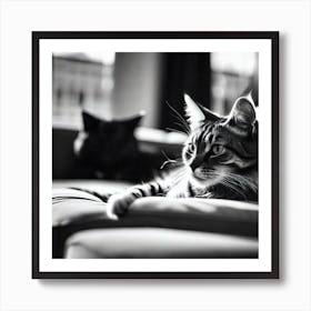 Black And White Cat Portrait 1 Art Print