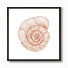 Pink Seashell 3 Art Print