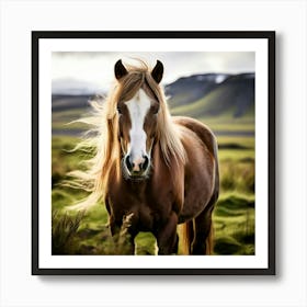 Grass Mane Head Equestrian Horse Rural White Iceland Nature Brown Field Mammal Pony Wil (3) Art Print