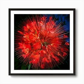 Firefly Explosion, Red, Orchids, Vibrant, Colorful, Floral, Dynamic, Dramatic, Vivid, Petals, Burst, (11) Art Print