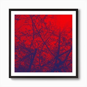 Red Sky Art Print