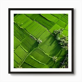 Grow Plant Green Background Field Aerial Landscape Pattern Agriculture Grass Harvesting C Art Print