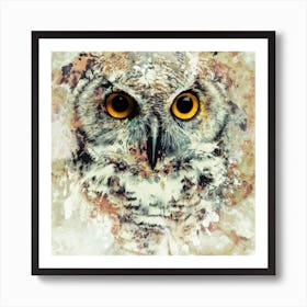 Owl 2 Square Art Print