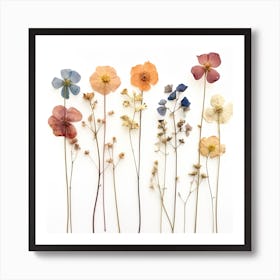 Dried Wild Flowers 22 Art Print