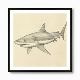 Carpet Shark Vintage Illustration 4 Art Print