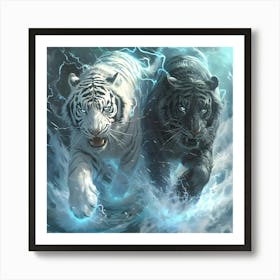 White Tiger And Black Tiger Art Print