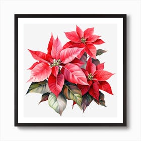 Poinsettia 34 Art Print