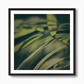 Dark Foliage 5 Art Print