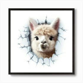 Alpaca Art Print