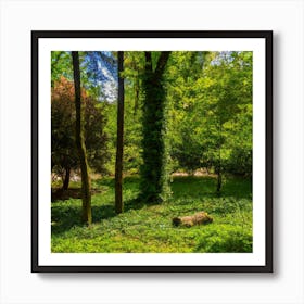 Nature is Beautiful 1 Art Print