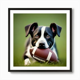 Dog With Football Art Print