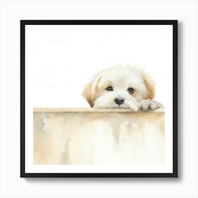 Shih Tzu Puppy Art Print