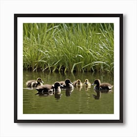 Family Duck Art Print