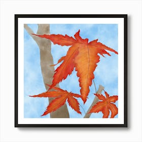 Japanese Maple Leaves Art Print