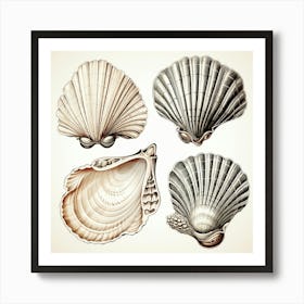 Sea Shells Art Print