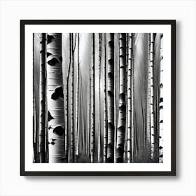 Black And White Birch Trees Art Print