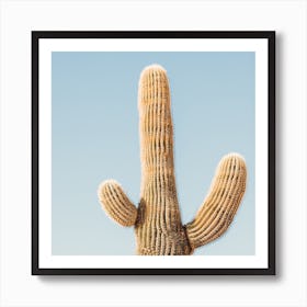 Cactus And Sky Square Art Print